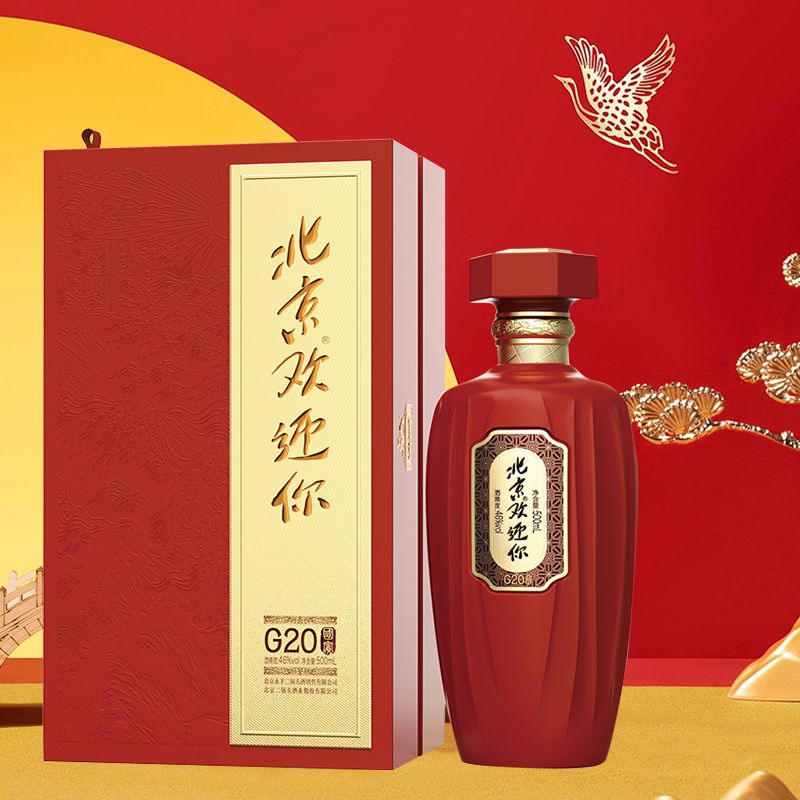 北京欢迎你G20（红）